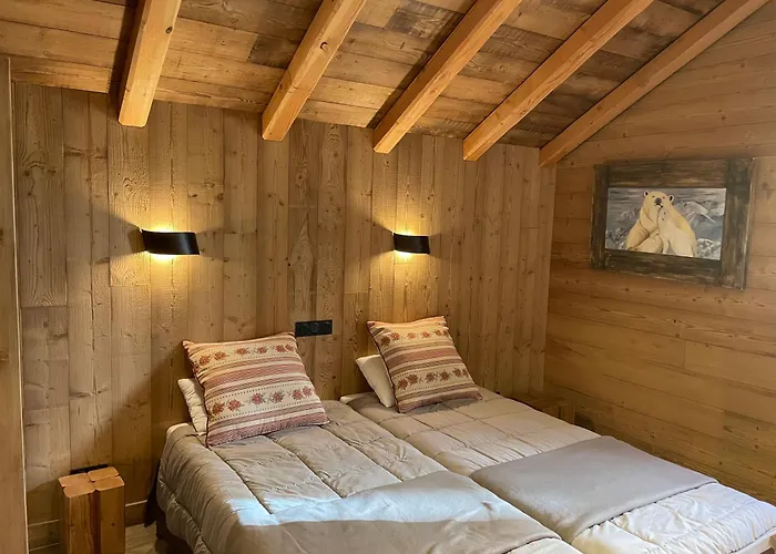 Aux Pieds Des Pistes Happy 2 Alpes 木屋