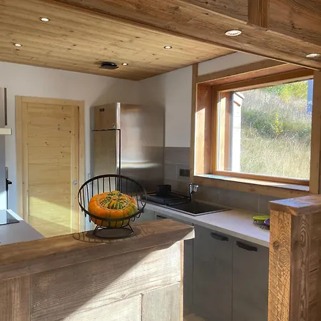 Aux Pieds Des Pistes Happy 2 Alpes