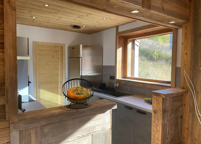 Aux Pieds Des Pistes Happy 2 Alpes